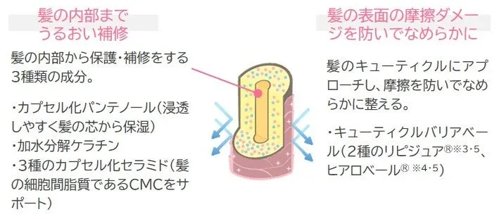 髪の内部と表面をダブルで補修するメカニズムの解説図