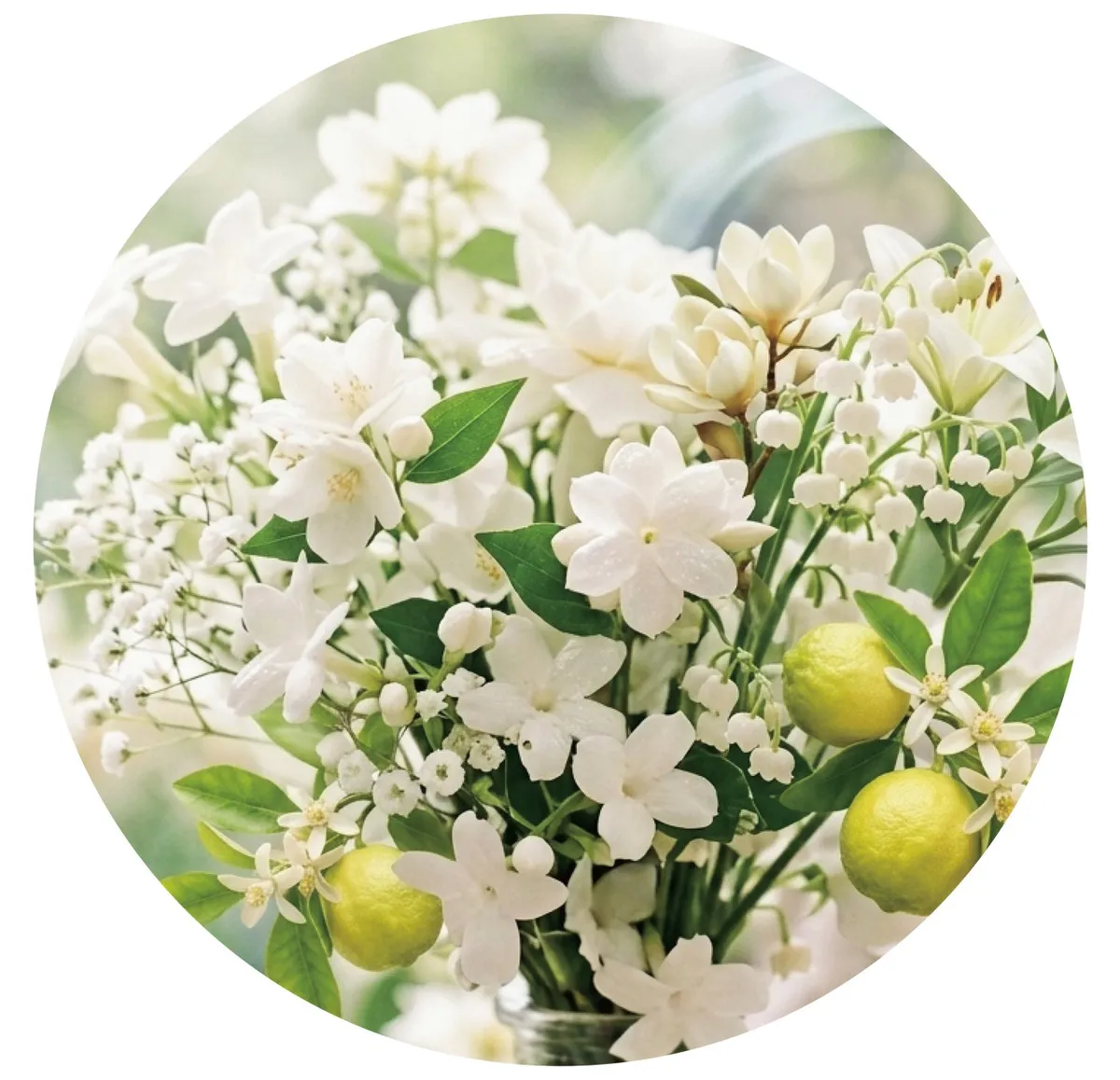 香りをイメージした清楚な白い花々とシトラス