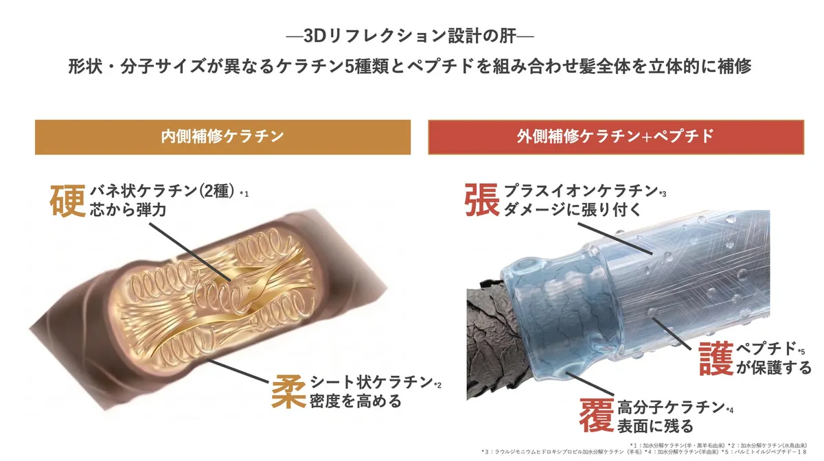 5種のケラチンとペプチドによる多層補修の図解