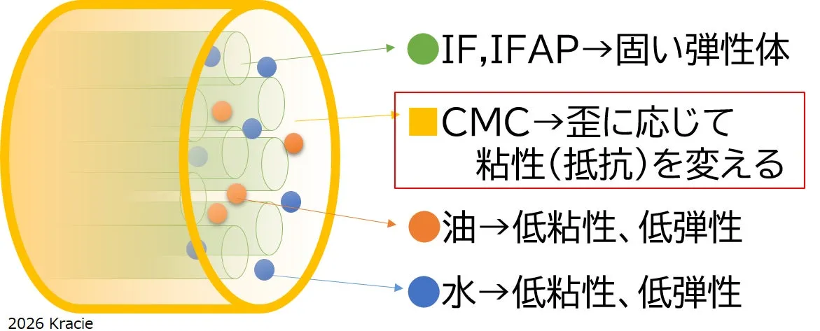 毛髪内部の構造とCMCの役割を示す図解