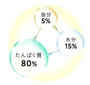 髪の黄金比率を示す成分バランスのイメージ図