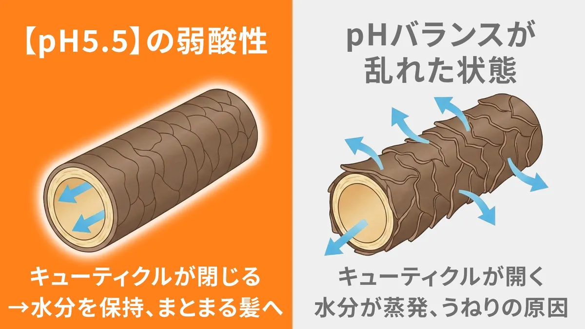 pHバランスとキューティクルの仕組み解説図