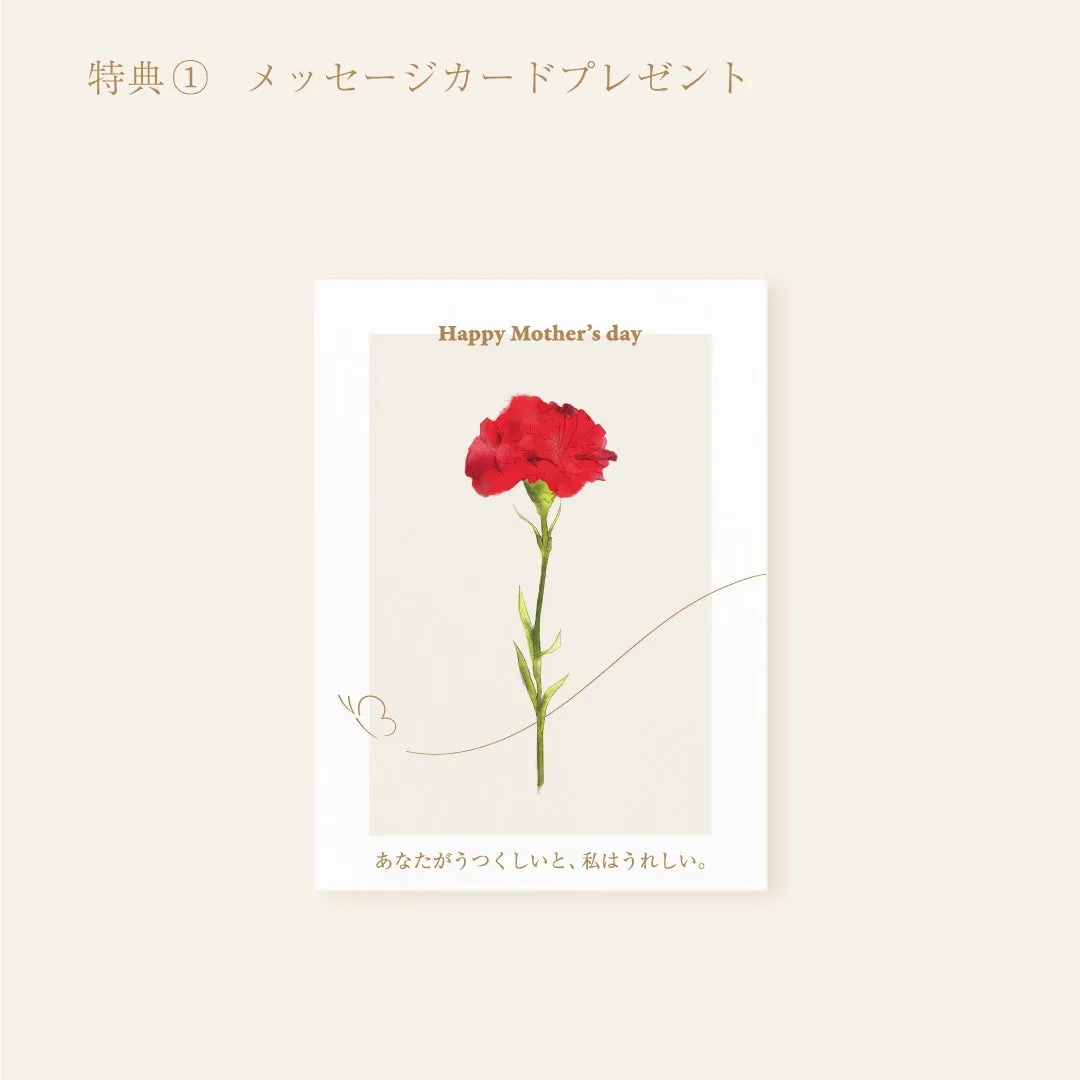 限定メッセージカードのデザイン