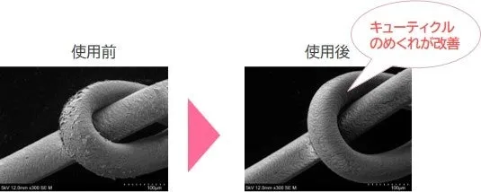 使用前後の髪の表面を比較した電子顕微鏡写真