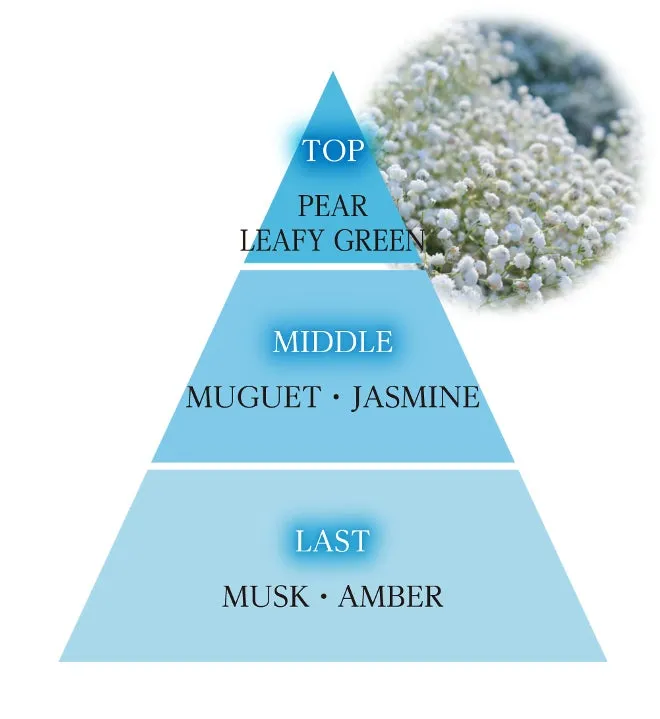 ウォータリーフルールの香り構成