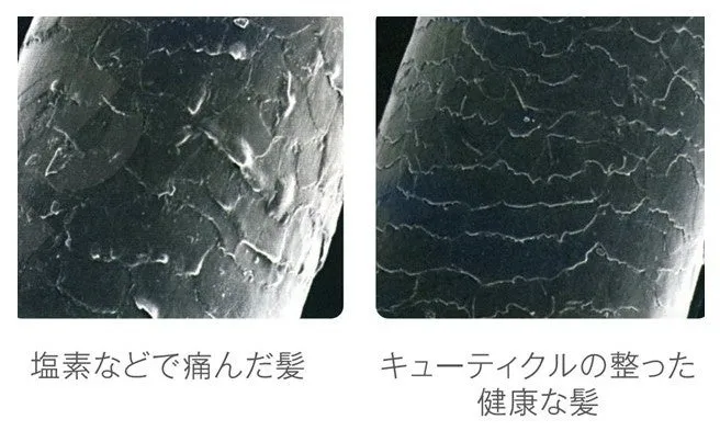 キューティクルの比較写真