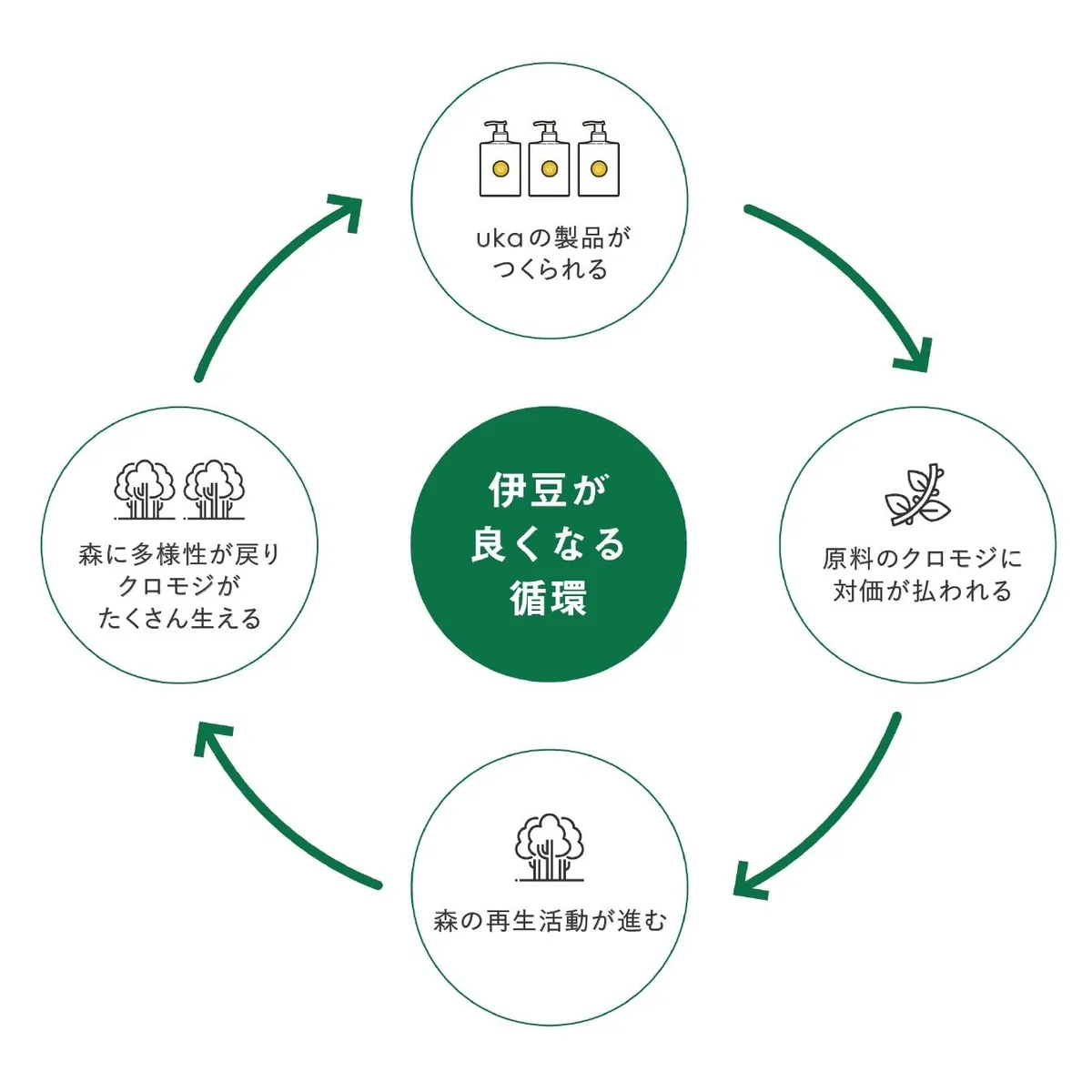 伊豆の森の再生と製品製造を結ぶ循環図