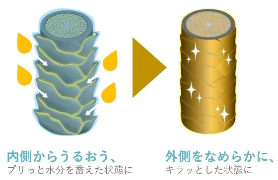 髪の内部にうるおいを与え表面をなめらかに整える補修イメージ