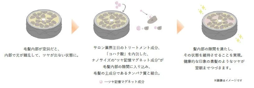 毛髪内部に成分が浸透し密着するメカニズムの図解