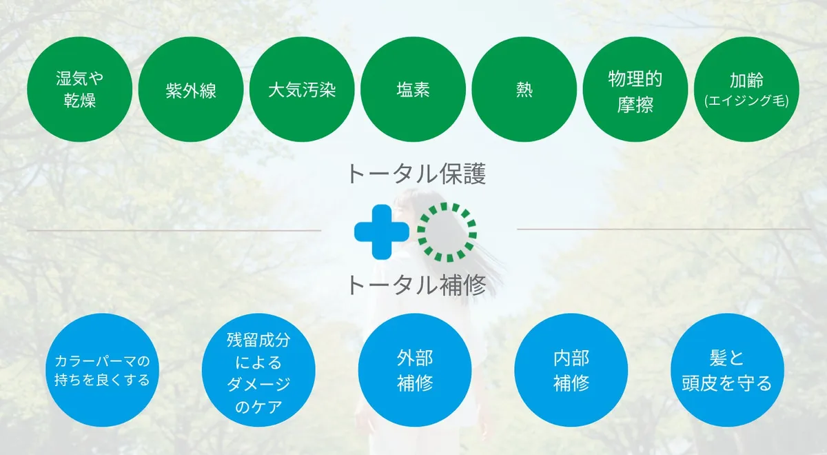 髪を保護・補修するメカニズムの解説図