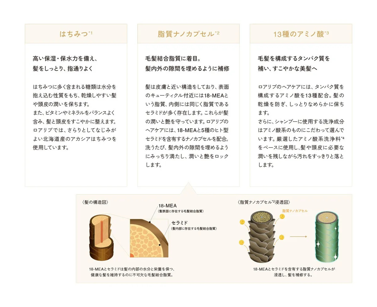 脂質ナノカプセルが髪内部に浸透し補修するメカニズムの図解