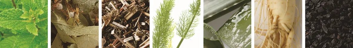 配合されている植物エキスのイメージ