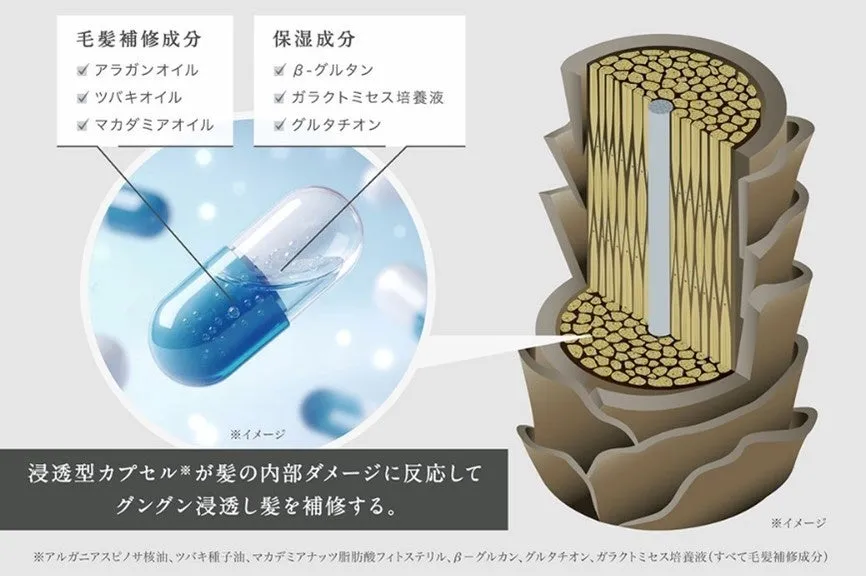浸透型カプセルによる毛髪補修のメカニズム図解