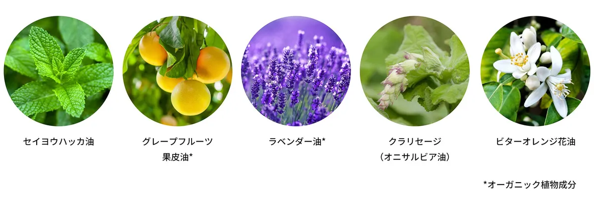 使用されている天然精油のイメージ画像