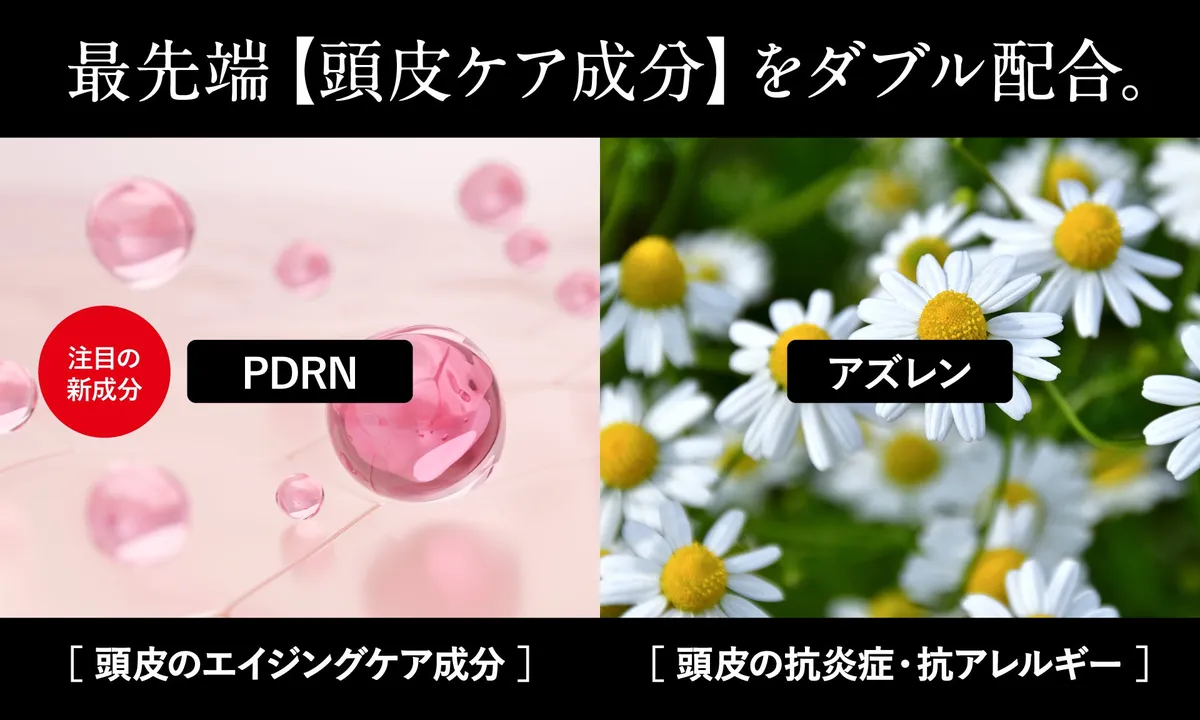 PDRNやアズレンなどの頭皮ケア成分のイメージ