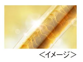 髪の表面をコーティングするイメージ
