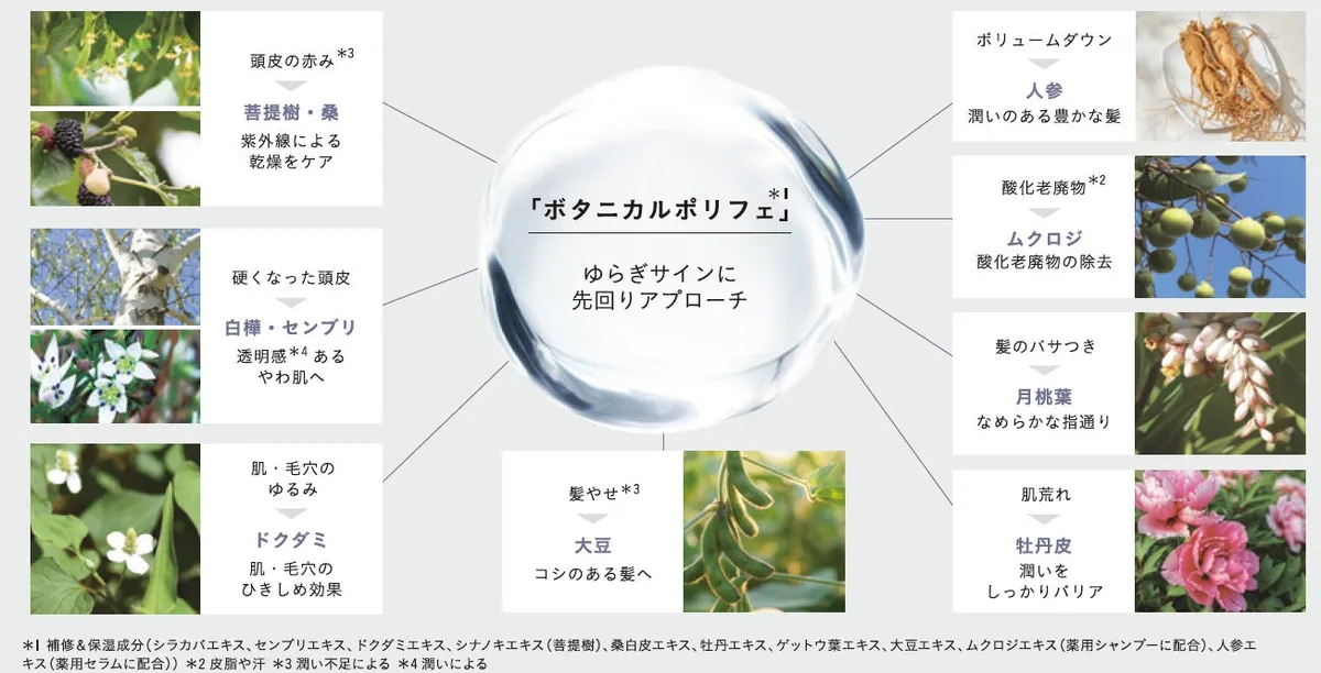 ボタニカルポリフェの成分図解