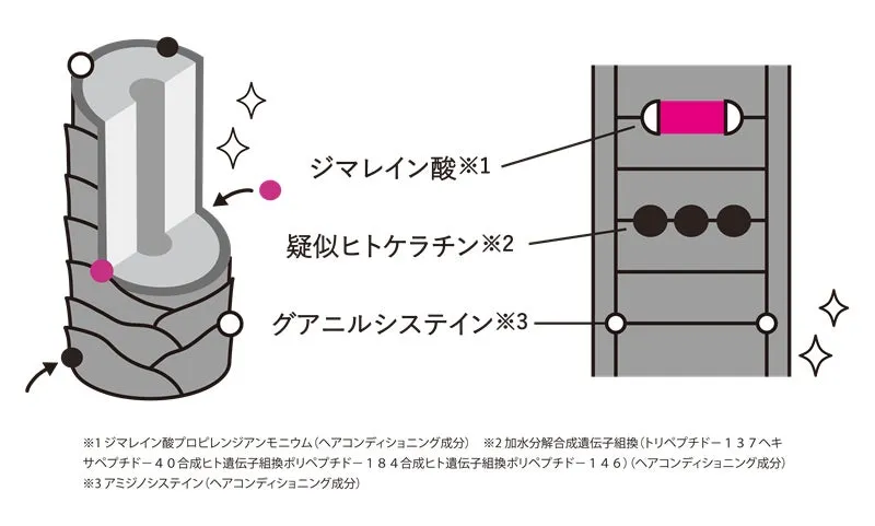 髪内部のダメージを補修するボンドトリートメント処方の仕組み図解