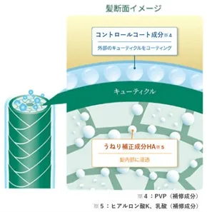髪の内部と外部にアプローチする質感整形テクノロジーα