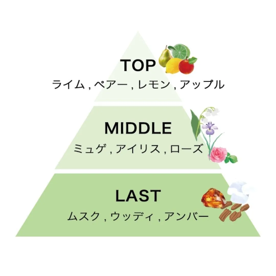 track オイル ライムのフレグランスピラミッド図