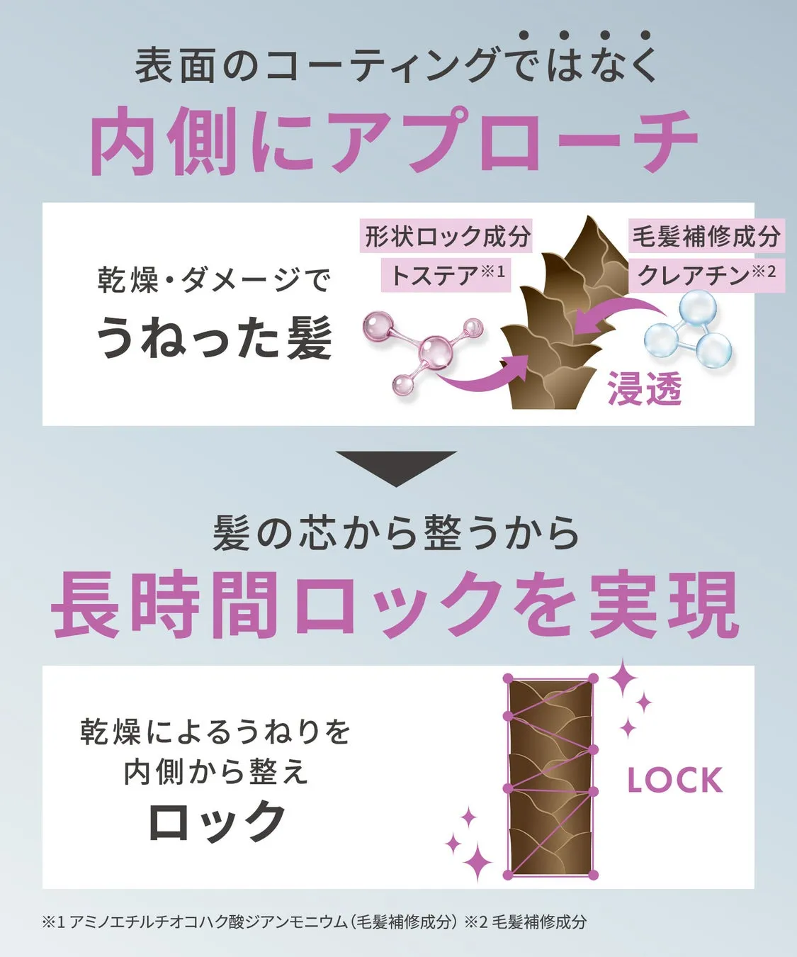 髪の内側にアプローチする成分の仕組み図