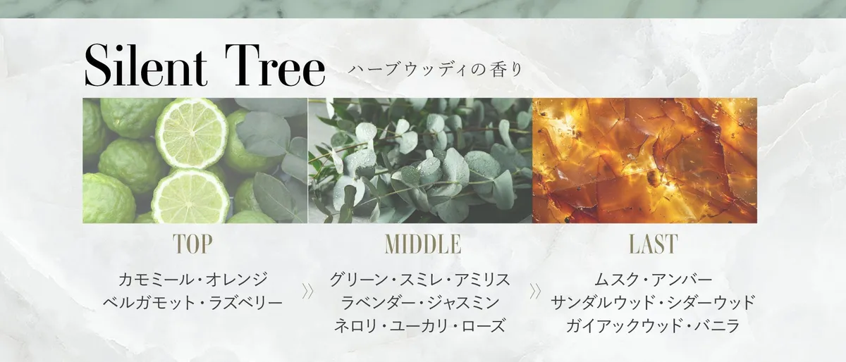 Silent Treeのフレグランス構成図