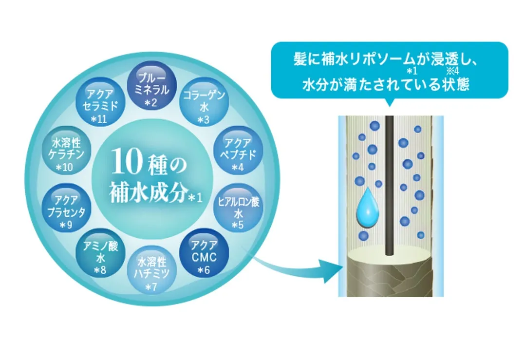 10種の美容液成分が髪に浸透するメカニズムの図解