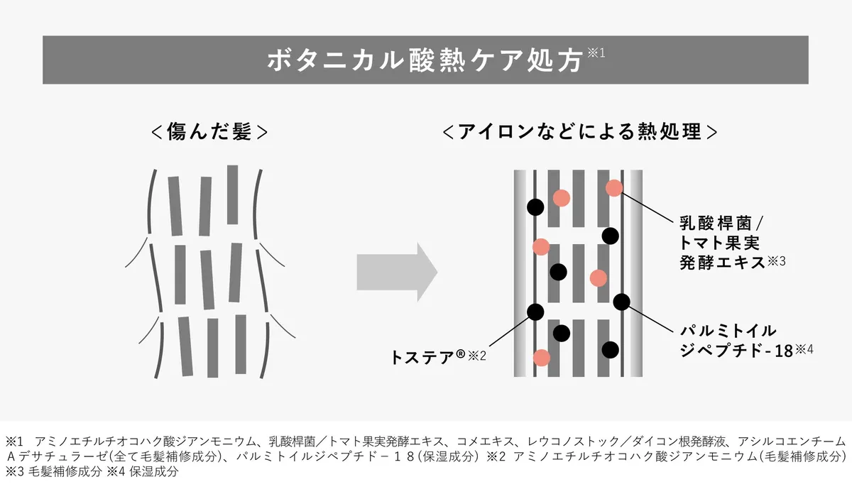 ボタニカル酸熱ケア処方のメカニズム解説図