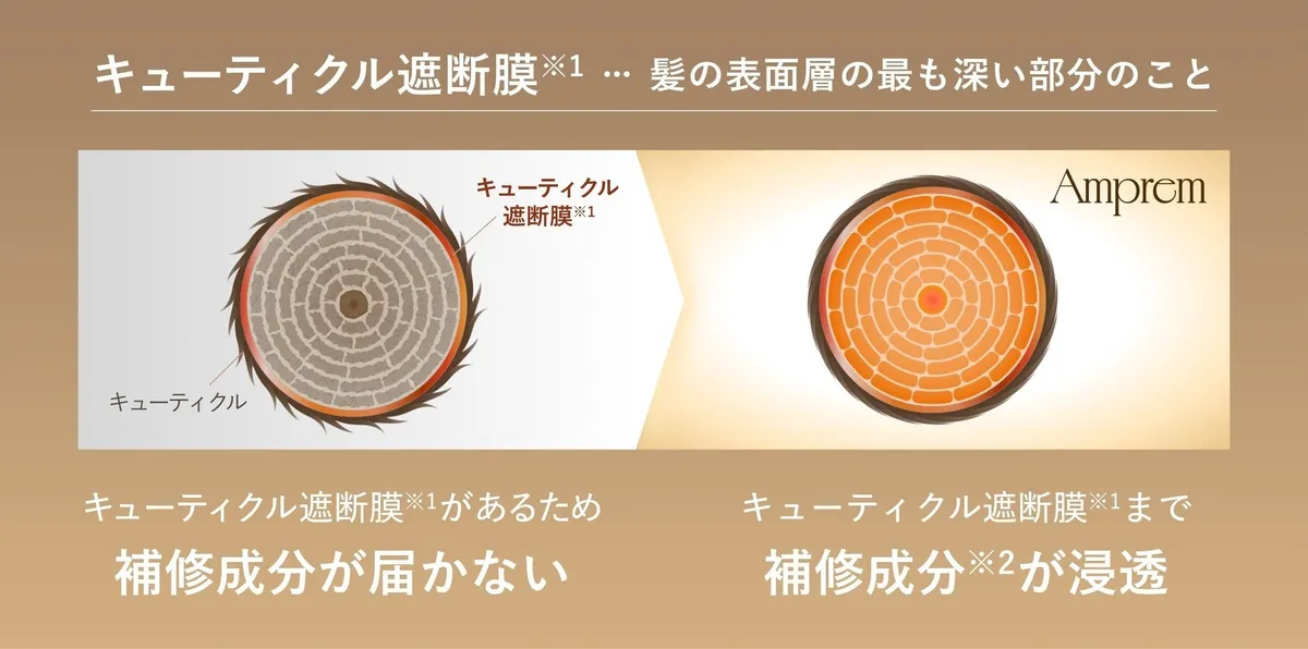 キューティクル遮断膜を突破して補修成分が浸透するメカニズムの図解。