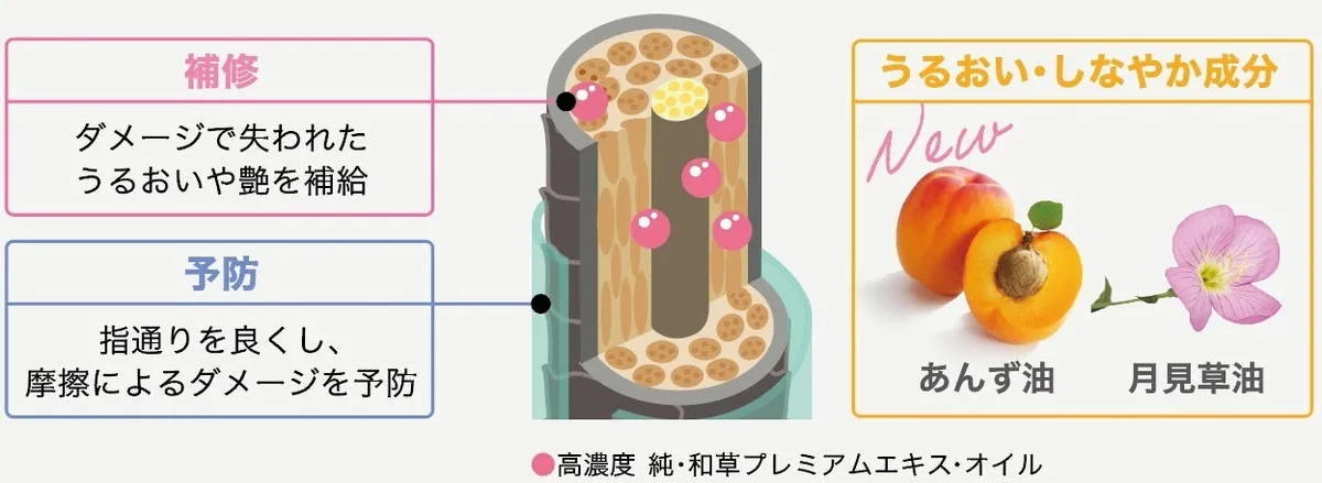 髪の補修と予防のメカニズム図