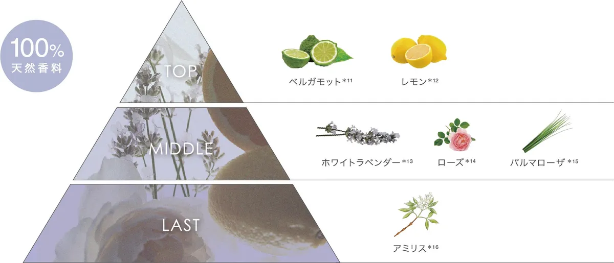 100％天然香料による透明感あふれる香りの構成図