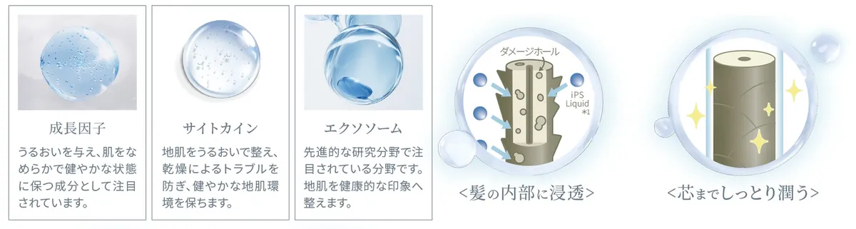 iPSリキッドの浸透イメージ