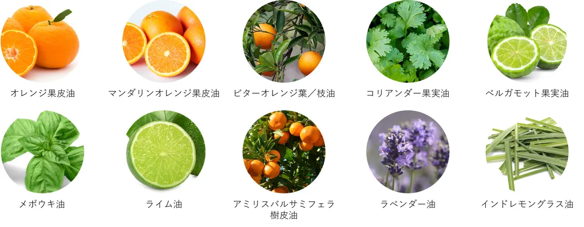 10種類の天然精油をイメージした植物のイラスト
