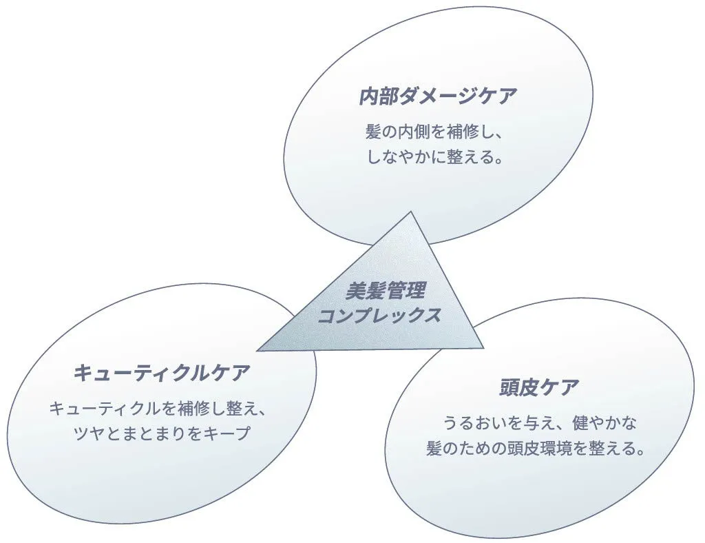 美髪管理コンプレックスの図解