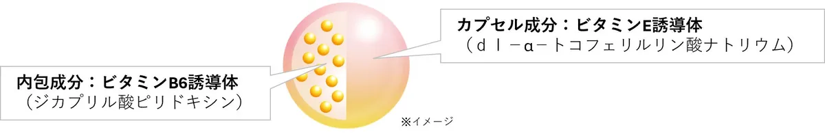 美容成分を頭皮の奥まで届けるナノビタミンカプセルのイメージ