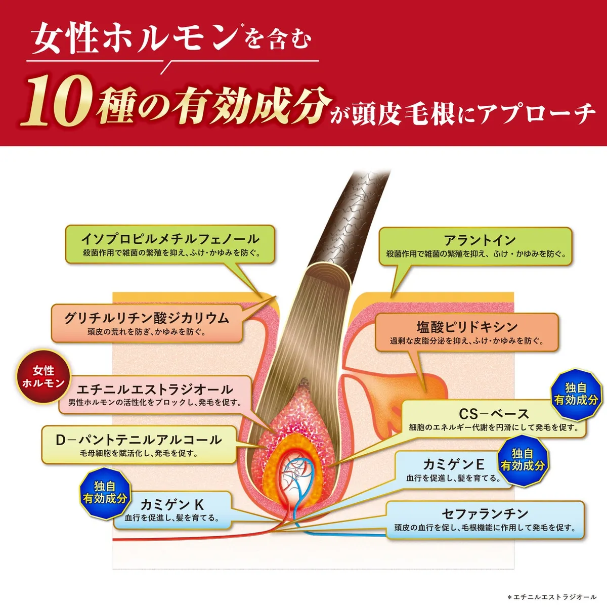 10種の有効成分が頭皮の毛根に多角的にアプローチする仕組み