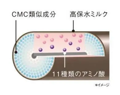 髪の内部にCMC類似成分やアミノ酸が浸透していく仕組みのイメージ図