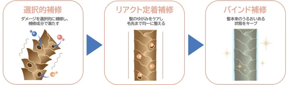 3段階のステップで髪を補修するプロセスの図解