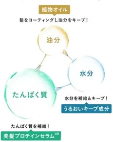 たんぱく質・水分・油分のバランスを表す図解