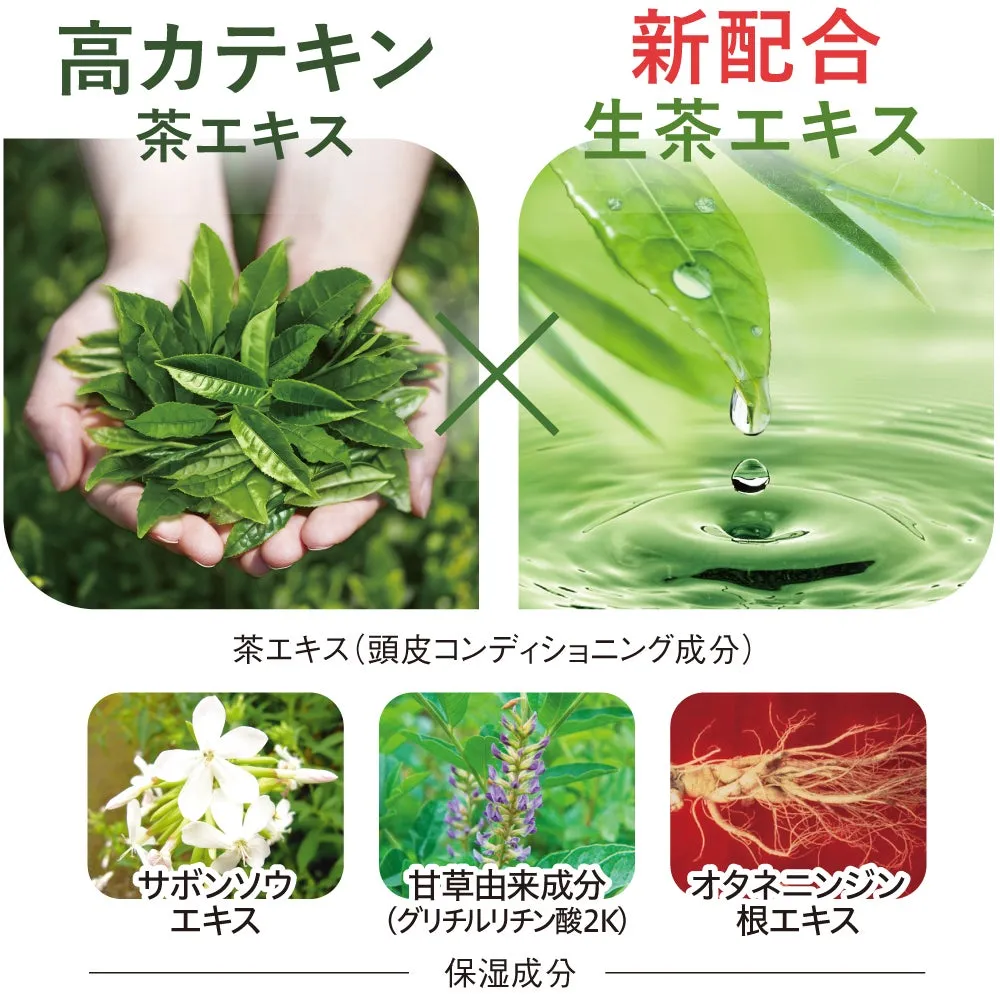 生茶エキスやカテキン、和漢植物成分のイメージ画像