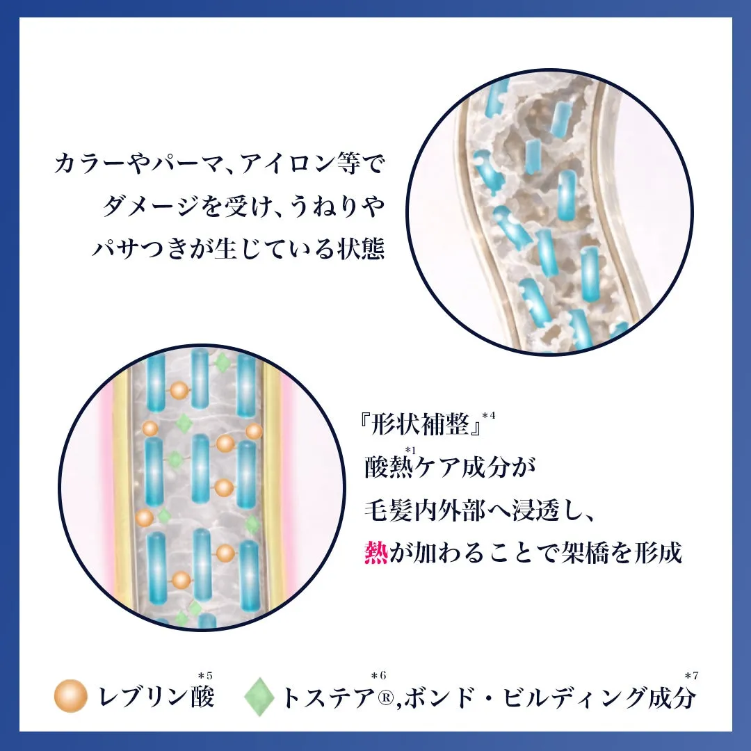 酸熱ケア成分が髪内部で架橋を作るイメージ